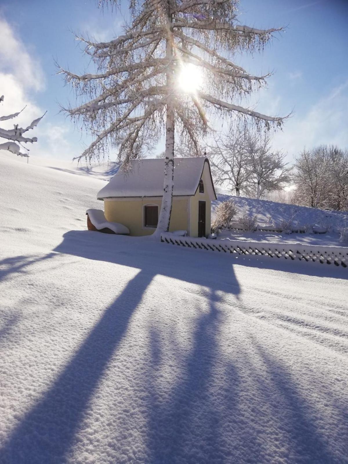 Alpenchalets Oberlaiming Itter Esterno foto